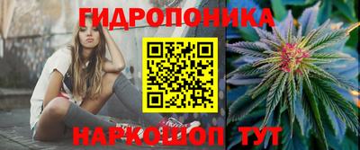 СК Дубна