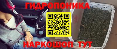 СК Дубна