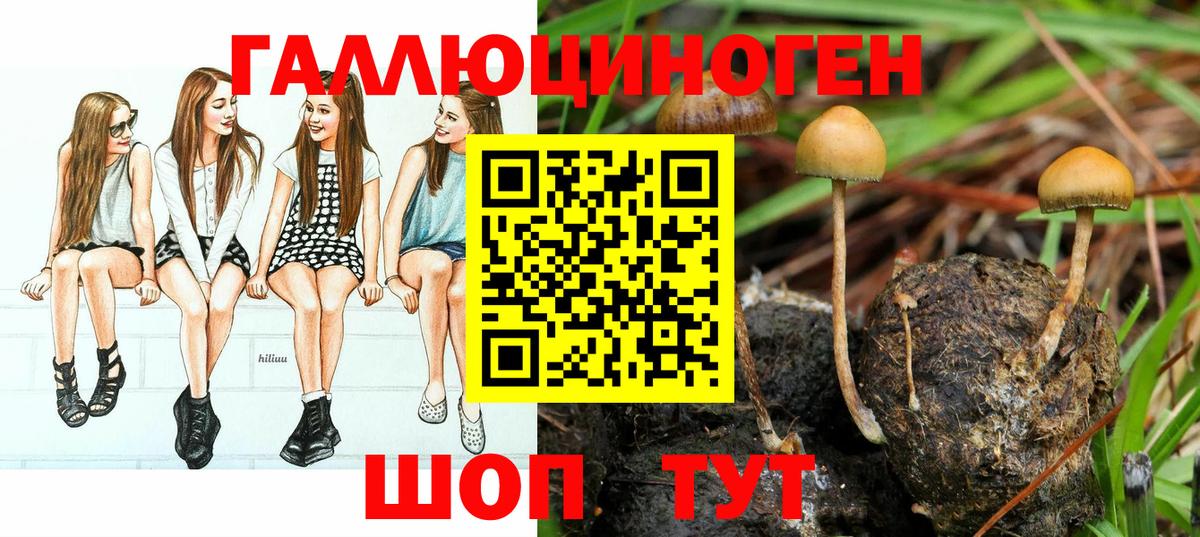 Псилоцибиновые грибы мухоморы Лысьва